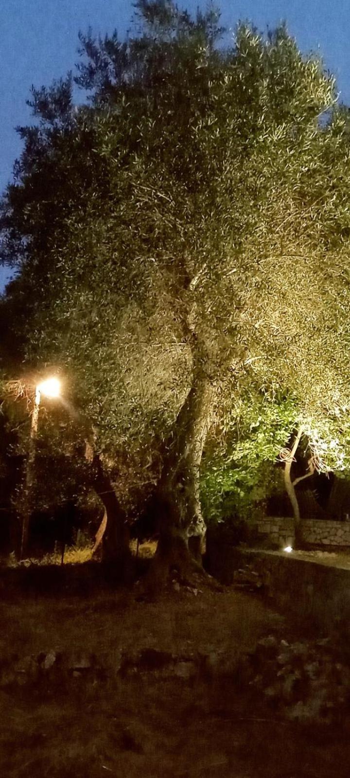 Villa Makris Zenempisatika المظهر الخارجي الصورة